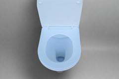 Rimless Watermark Toilet