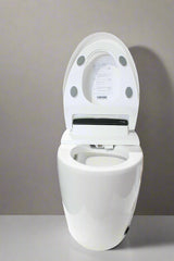 Smart Toilet - Auto Flush, Heated Seat