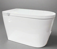 Smart Toilet - Auto Flush, Heated Seat