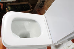 Toilet Rimless Watermark