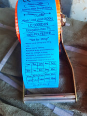 9M Cargo Tie Down Lashing Strap